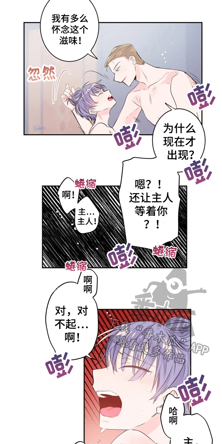 14.jpg