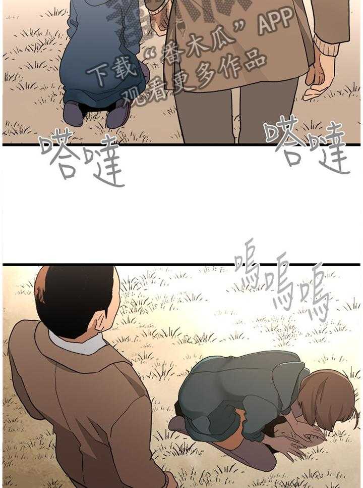 31.jpg