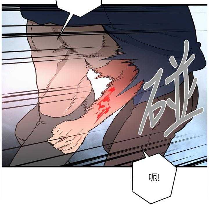 21.jpg