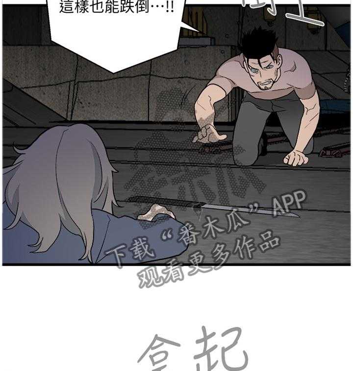 33.jpg