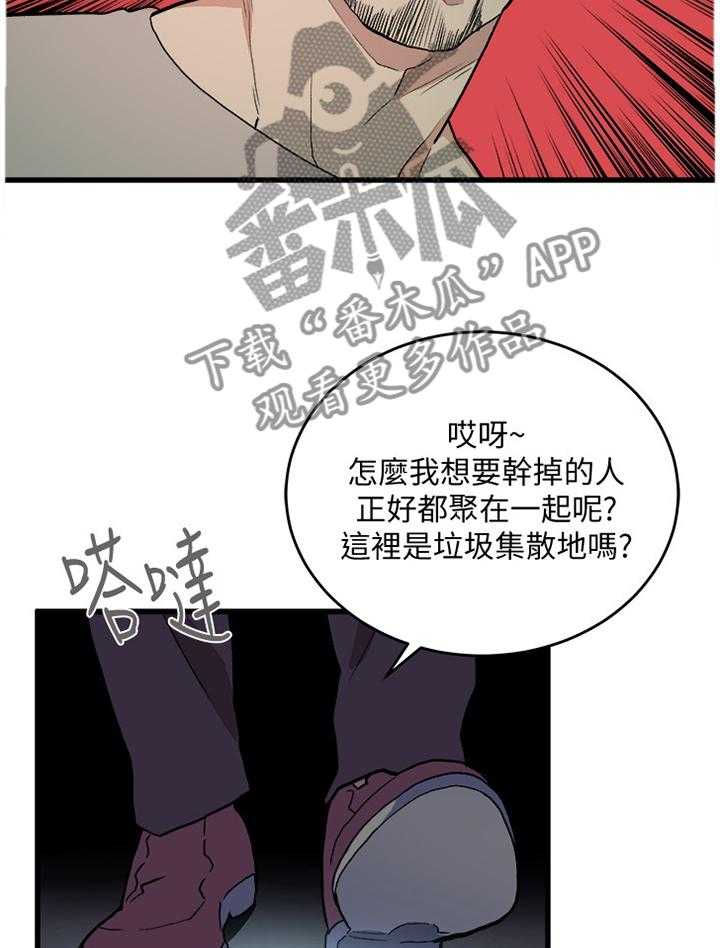 23.jpg