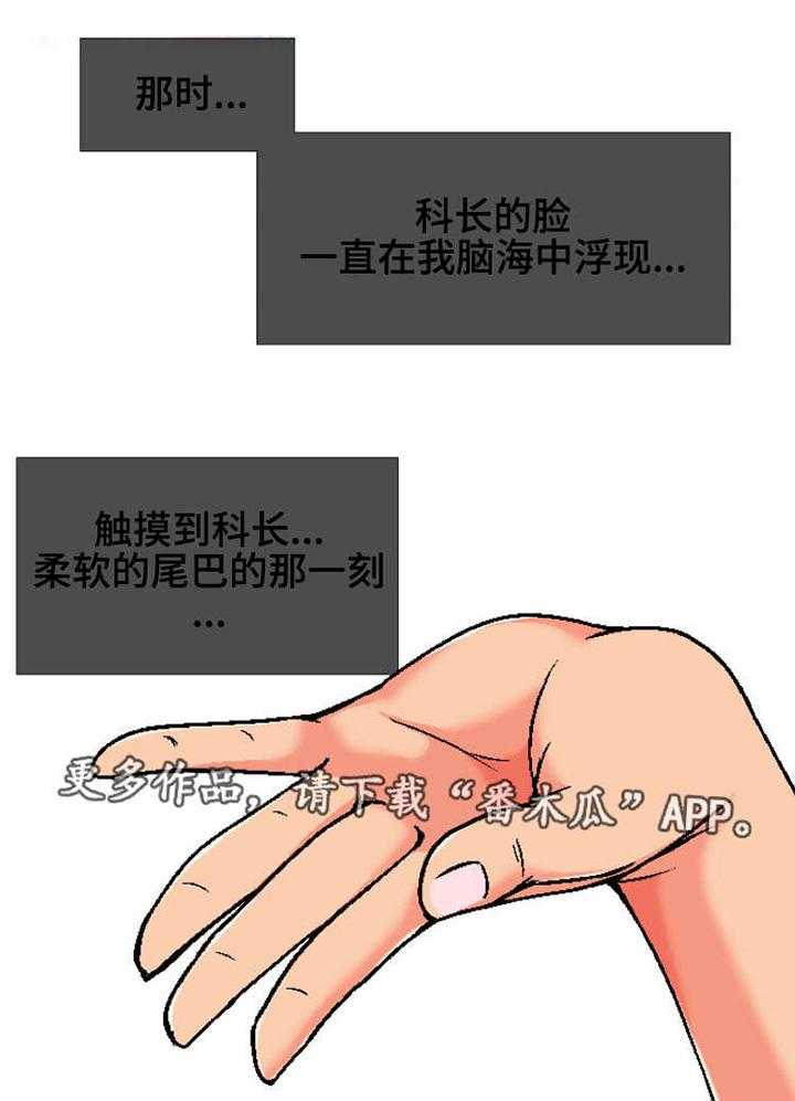 13.jpg