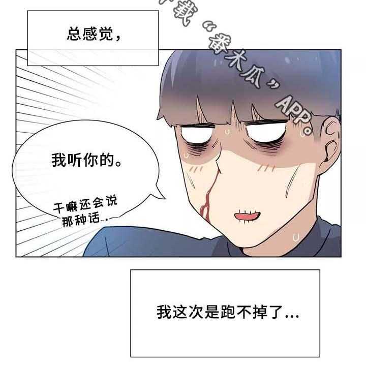 17.jpg