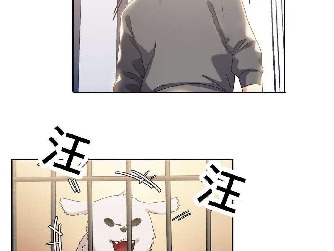 47.jpg