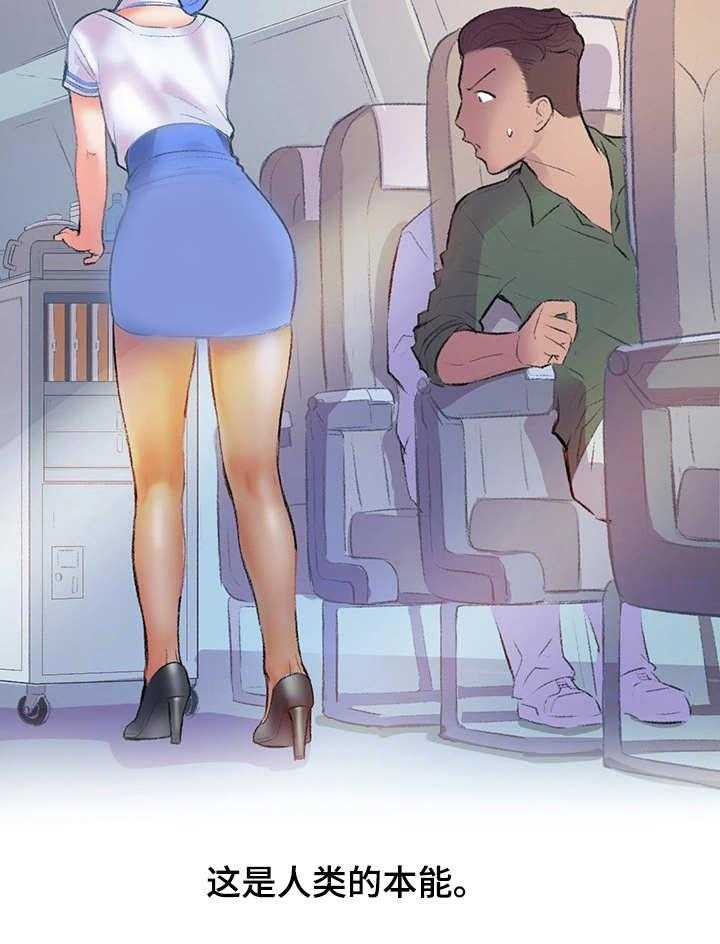 15.jpg