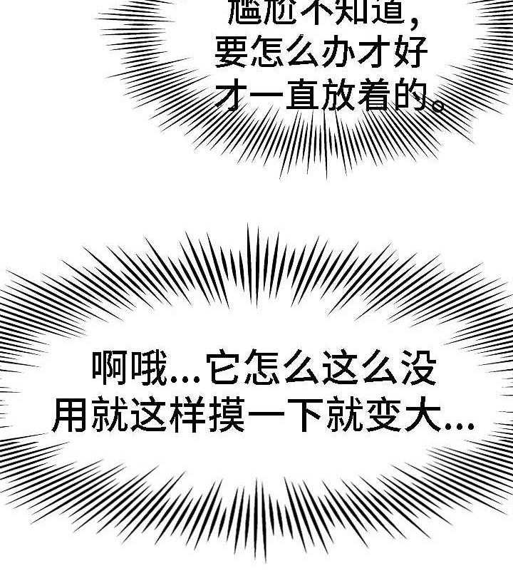 13.jpg