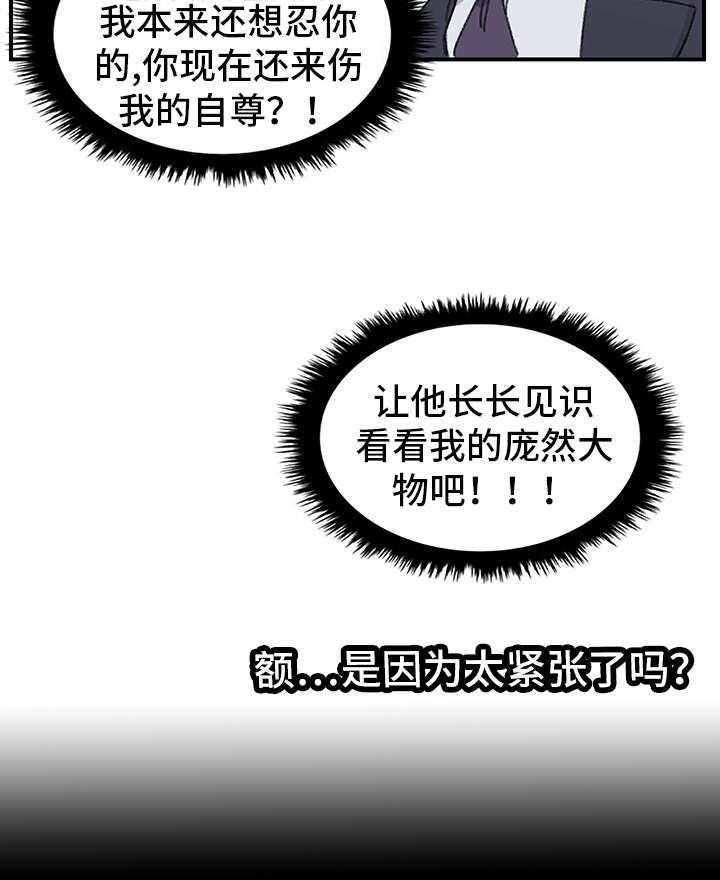 15.jpg