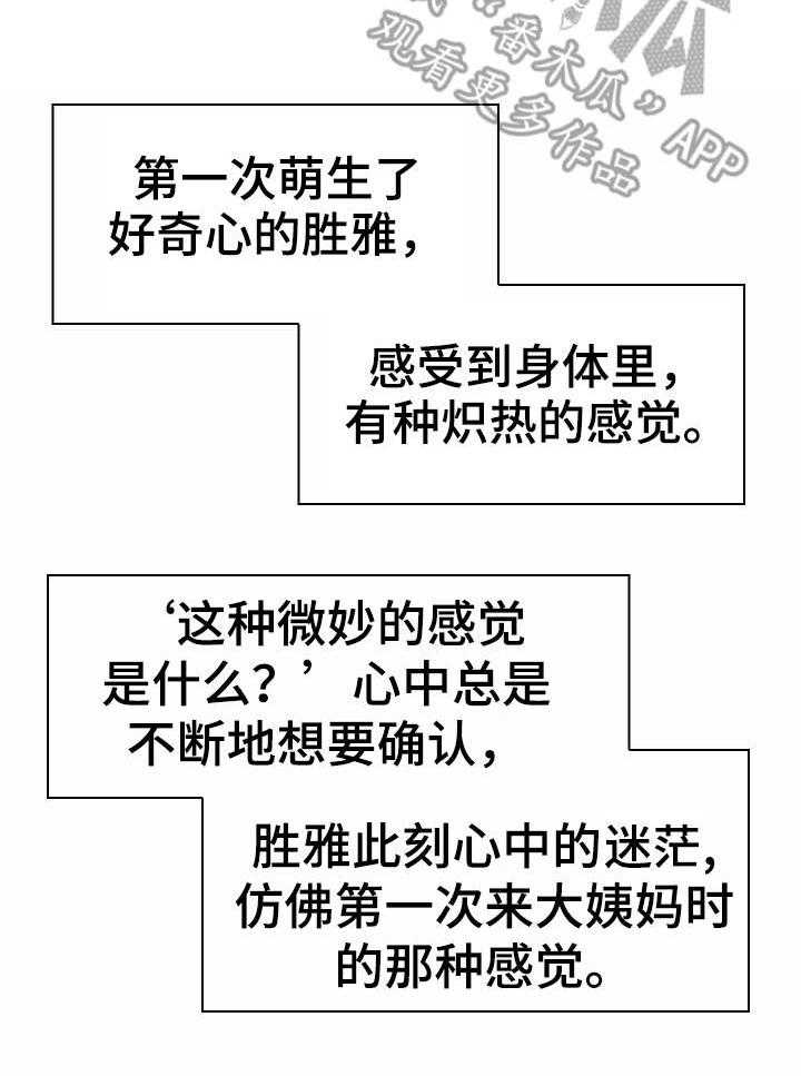 13.jpg