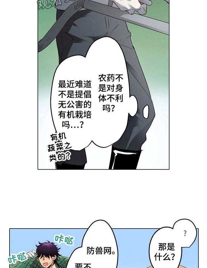 10.jpg