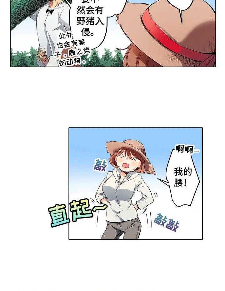 11.jpg