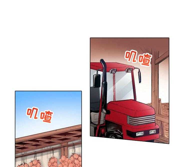 17.jpg