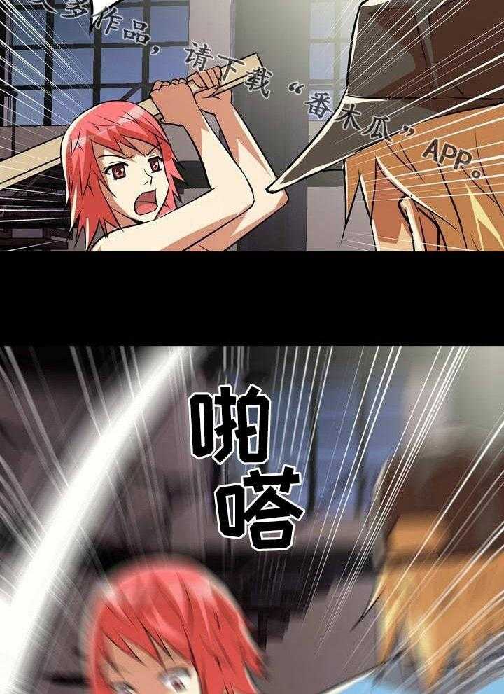15.jpg