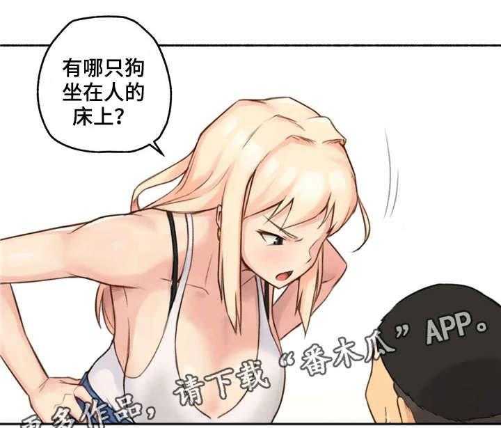 16.jpg