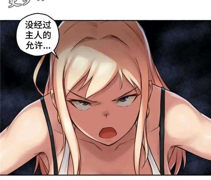 17.jpg