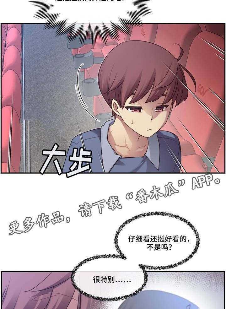 11.jpg