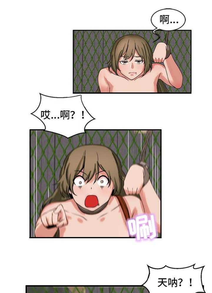 16.jpg