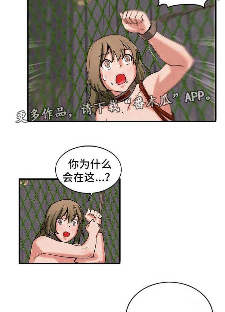 17.jpg