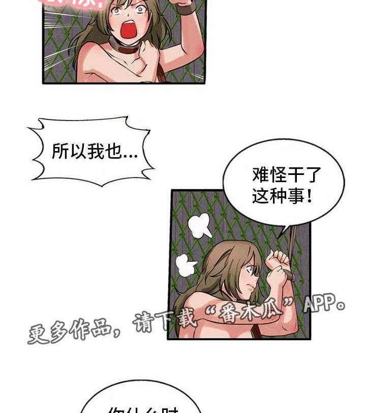 23.jpg