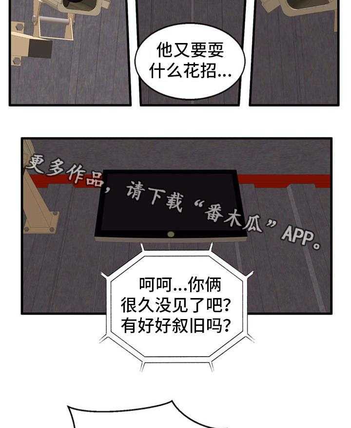 26.jpg