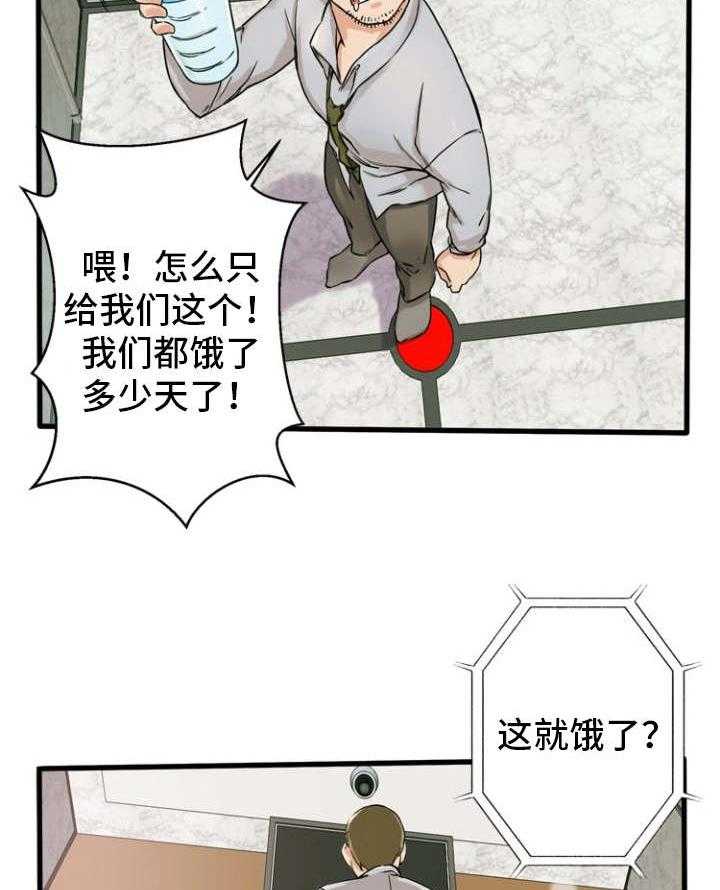 17.jpg