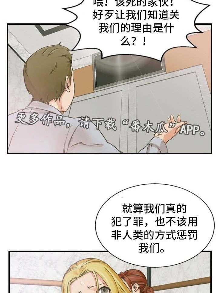 20.jpg