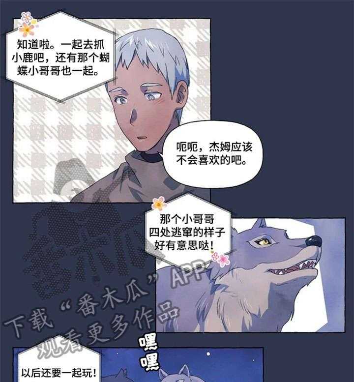 21.jpg