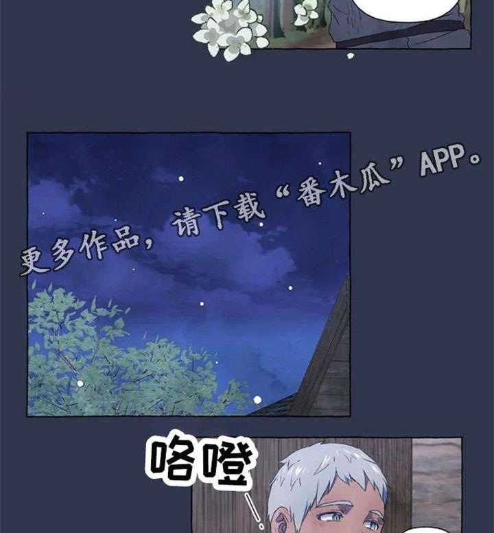 26.jpg