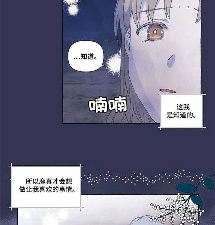 27.jpg