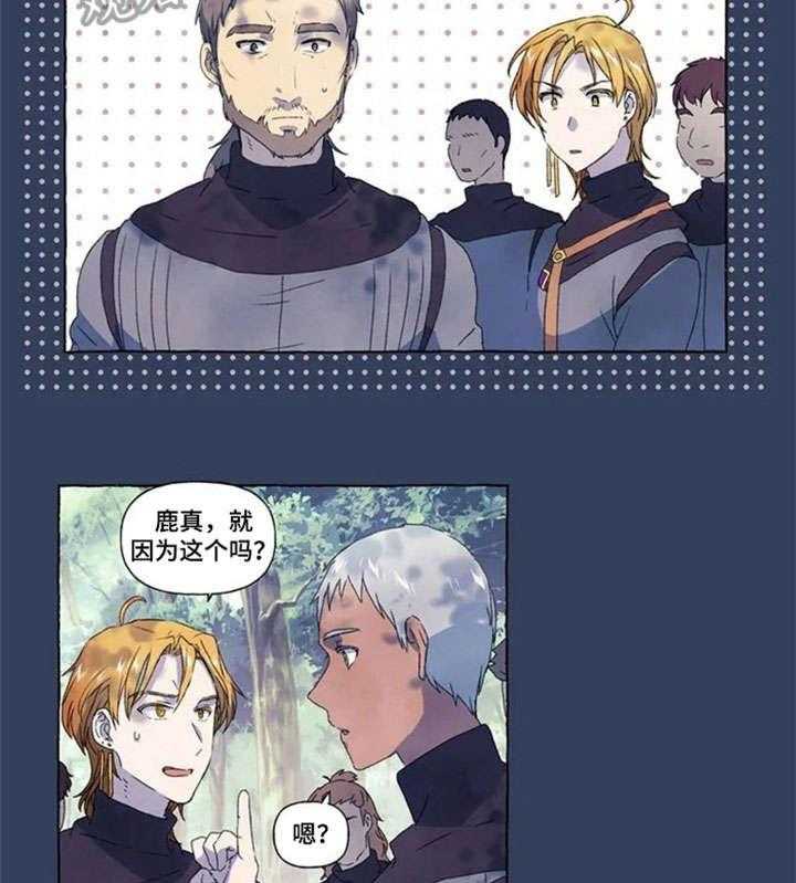 13.jpg