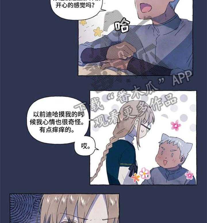 15.jpg