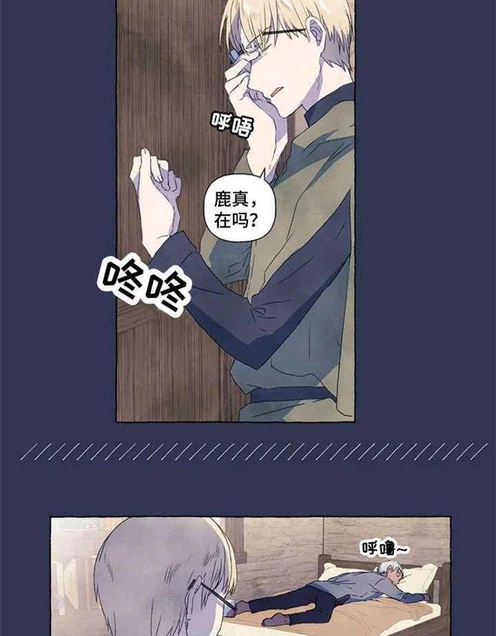 21.jpg