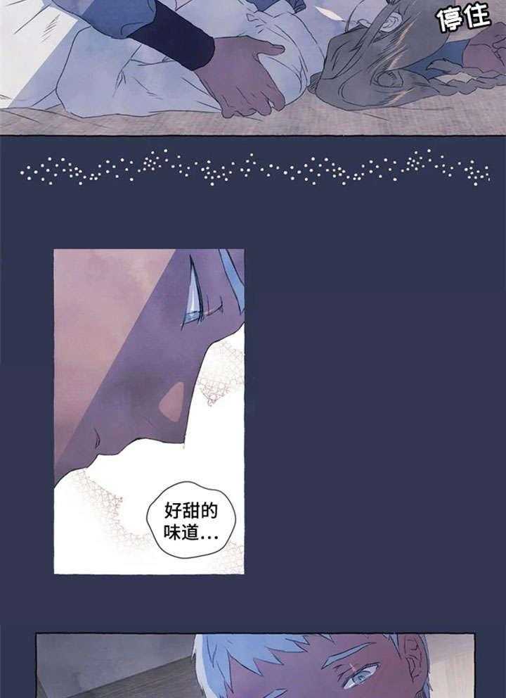 17.jpg