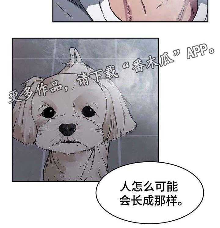 28.jpg