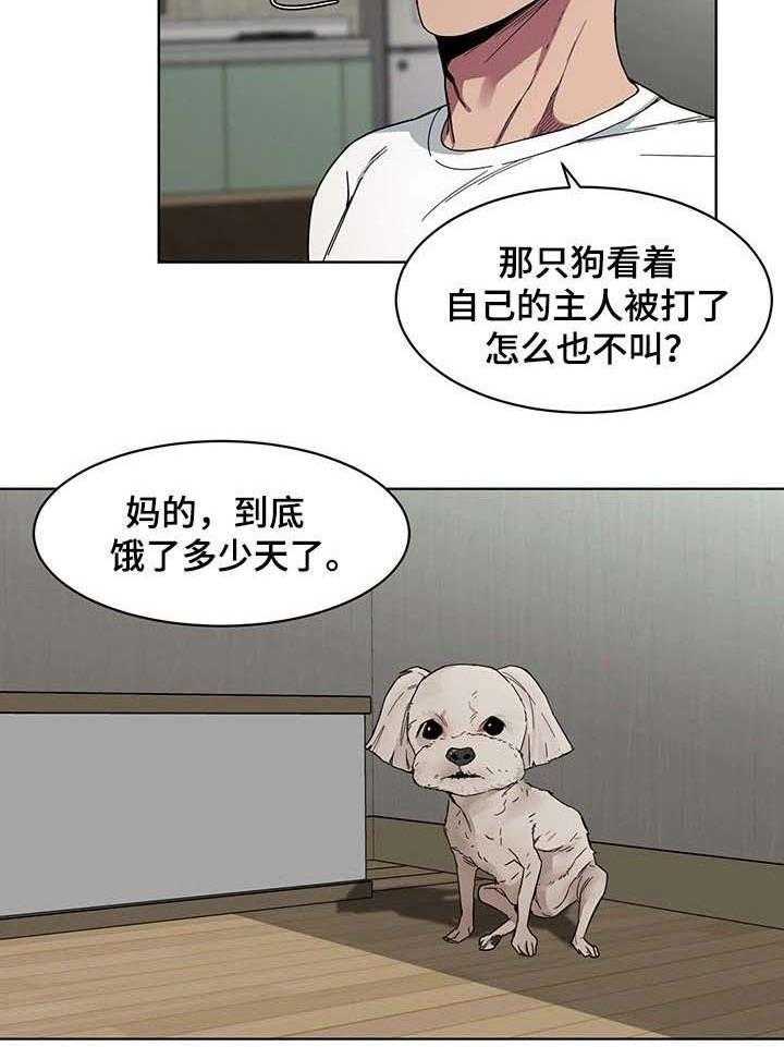 7.jpg