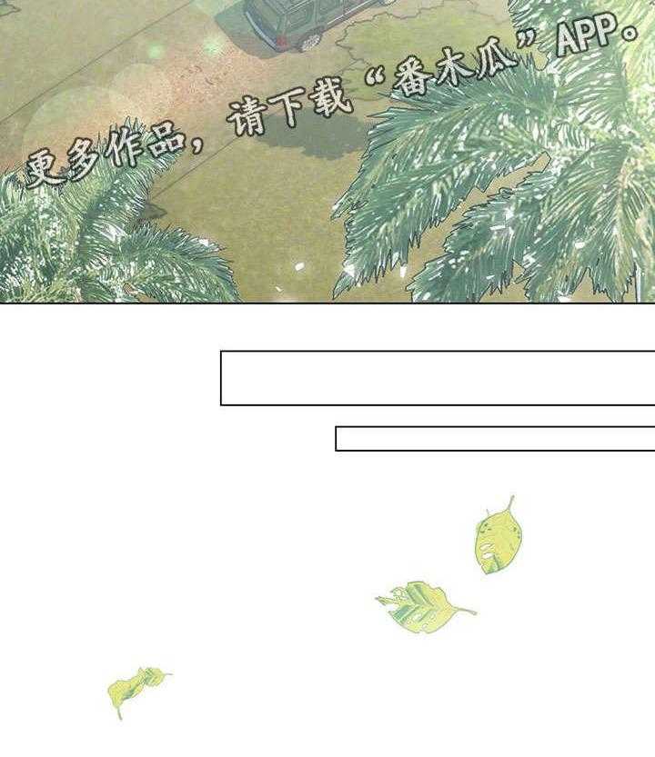 24.jpg