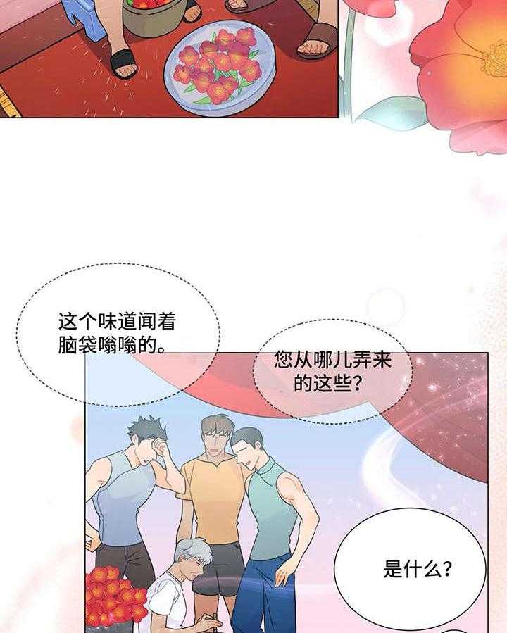 17.jpg