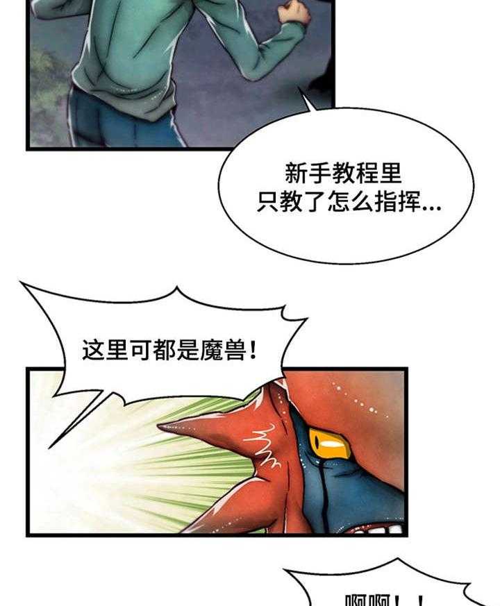25.jpg