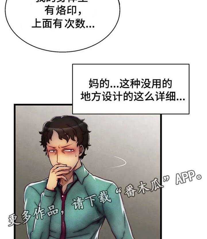 35.jpg