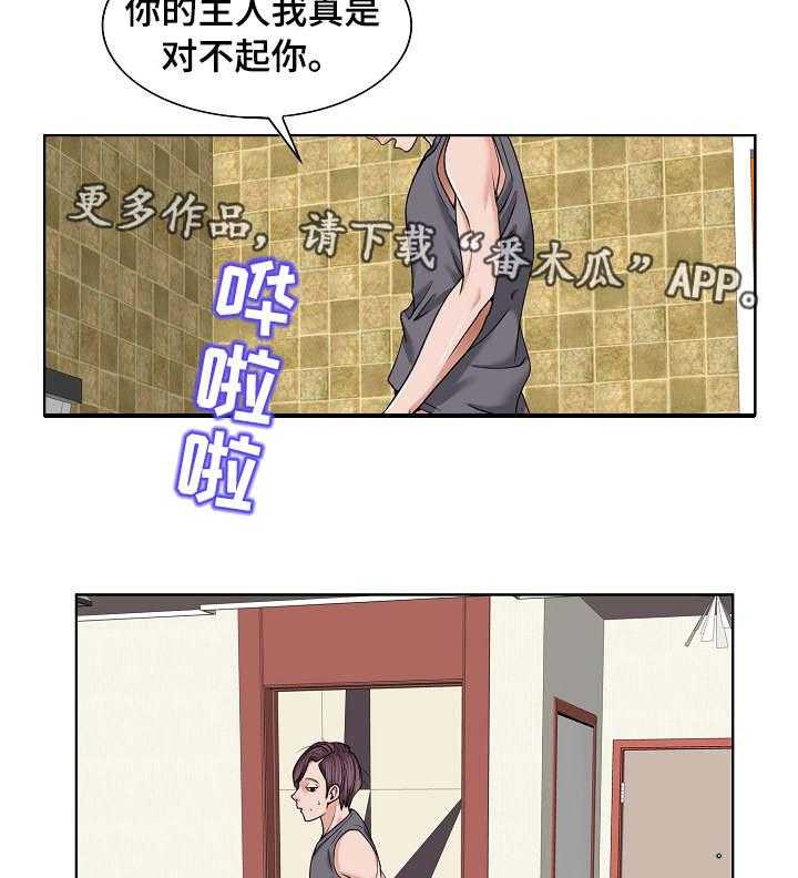 11.jpg