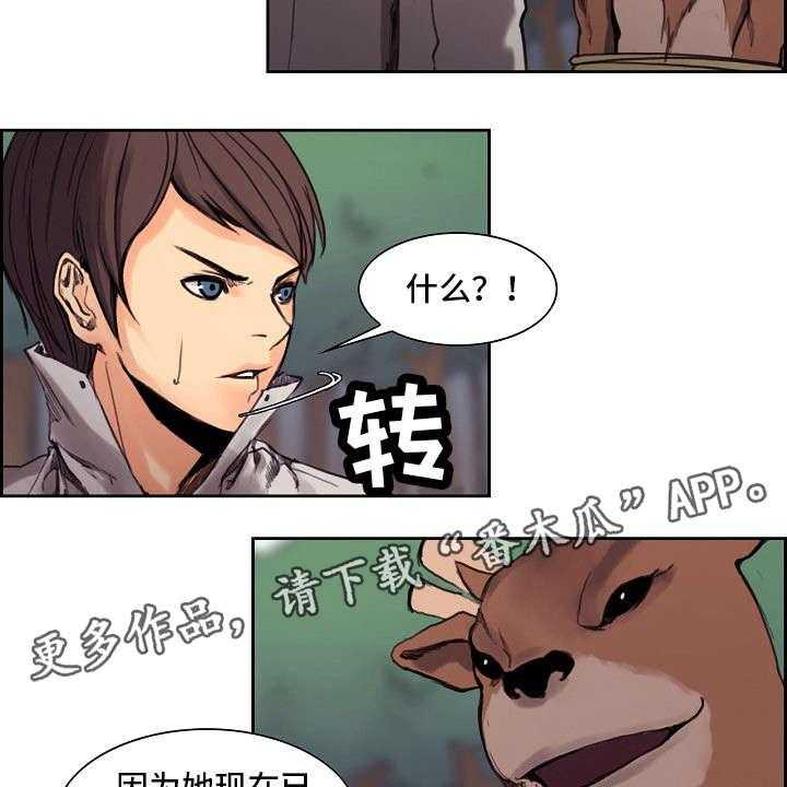 15.jpg