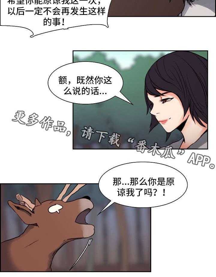 13.jpg