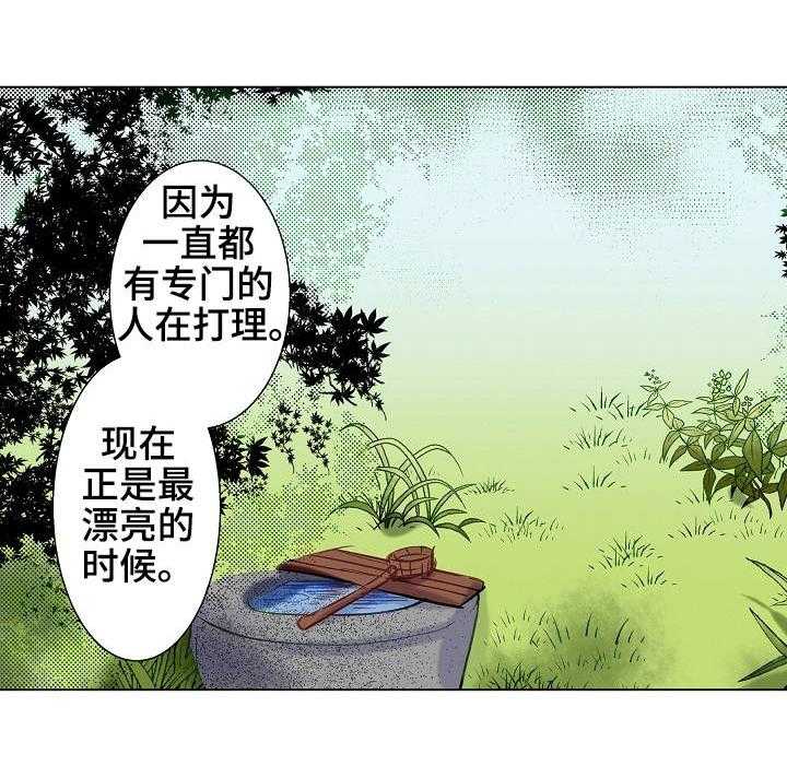 19.jpg