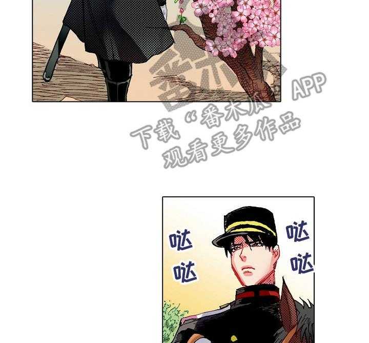13.jpg