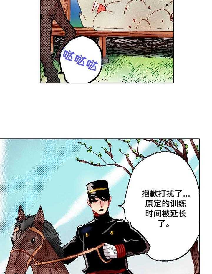 8.jpg
