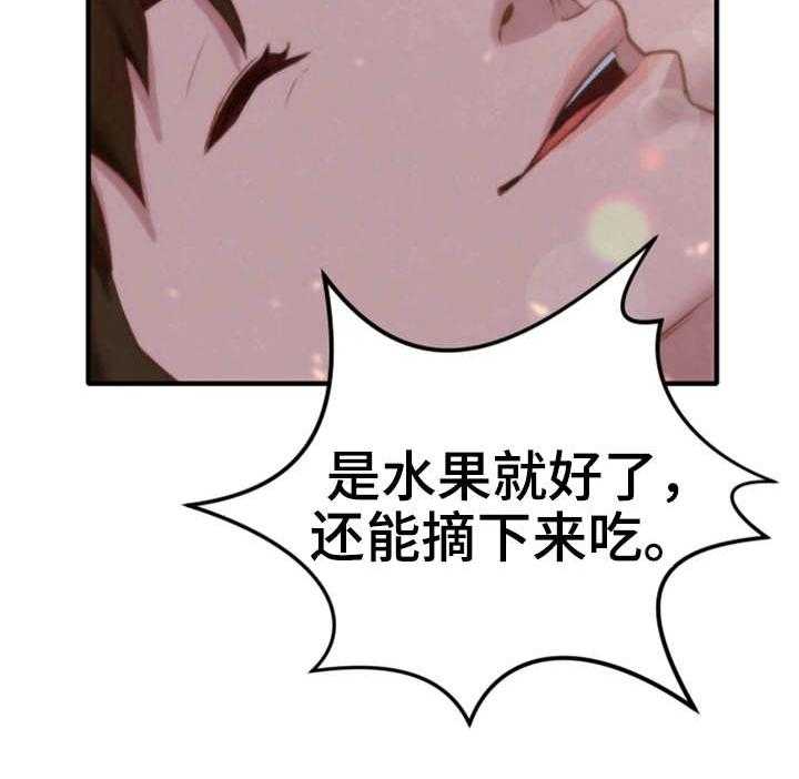 41.jpg