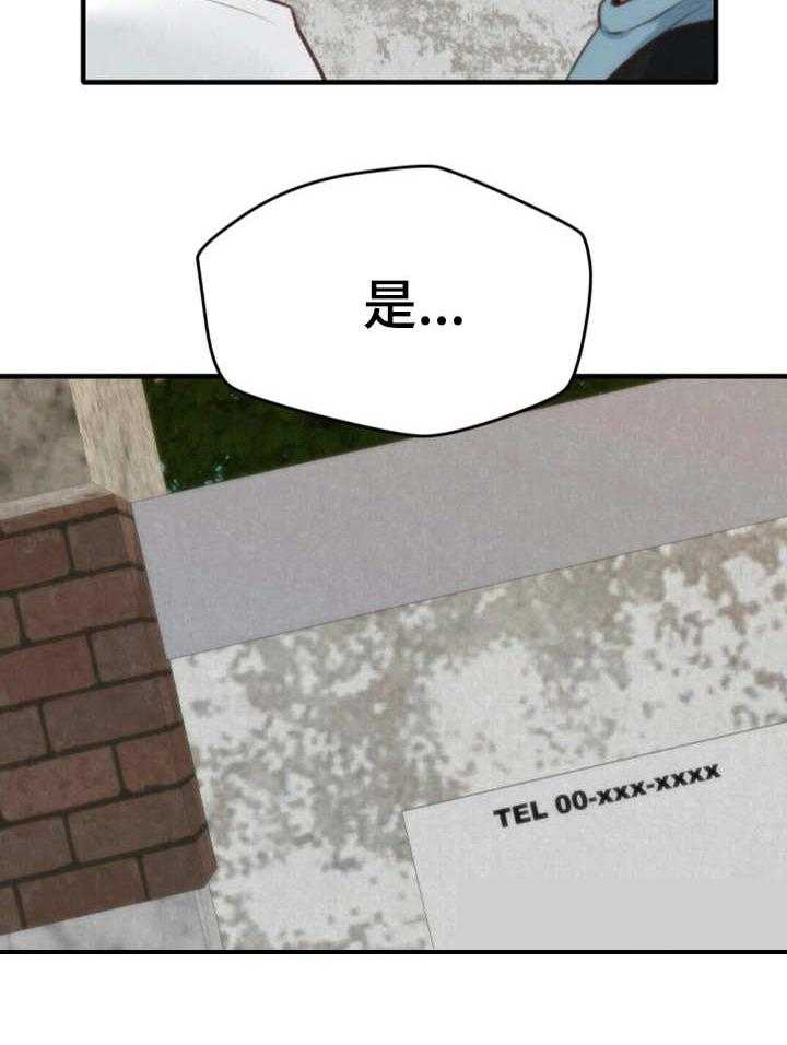 31.jpg