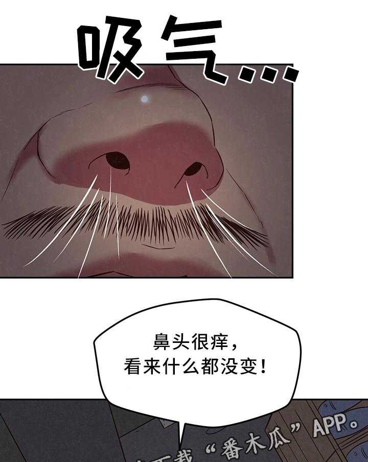12.jpg
