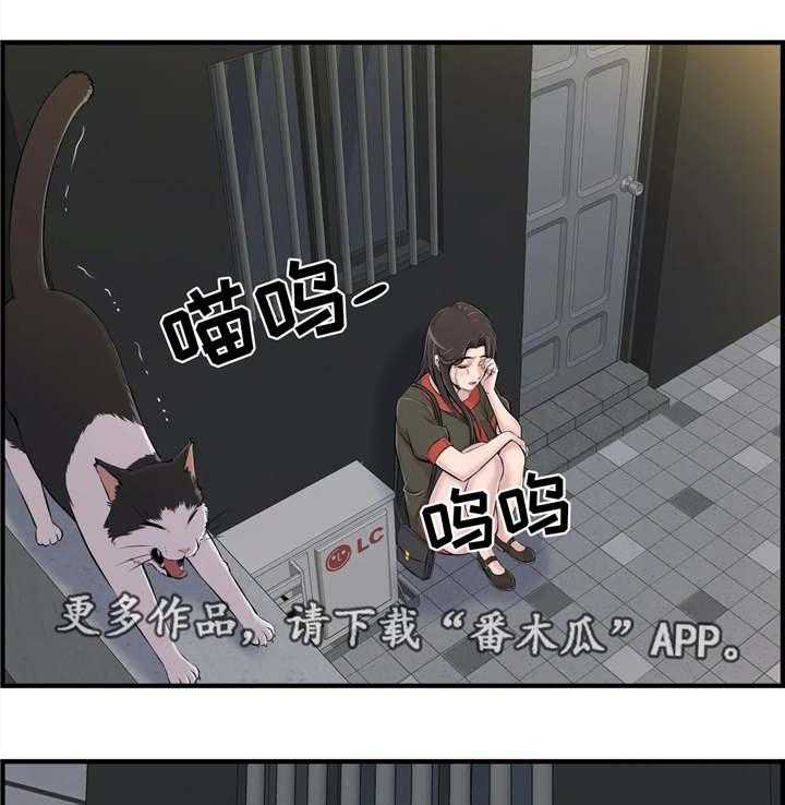 31.jpg