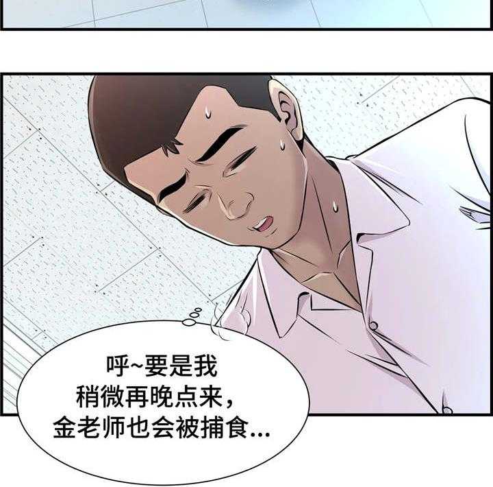 11.jpg