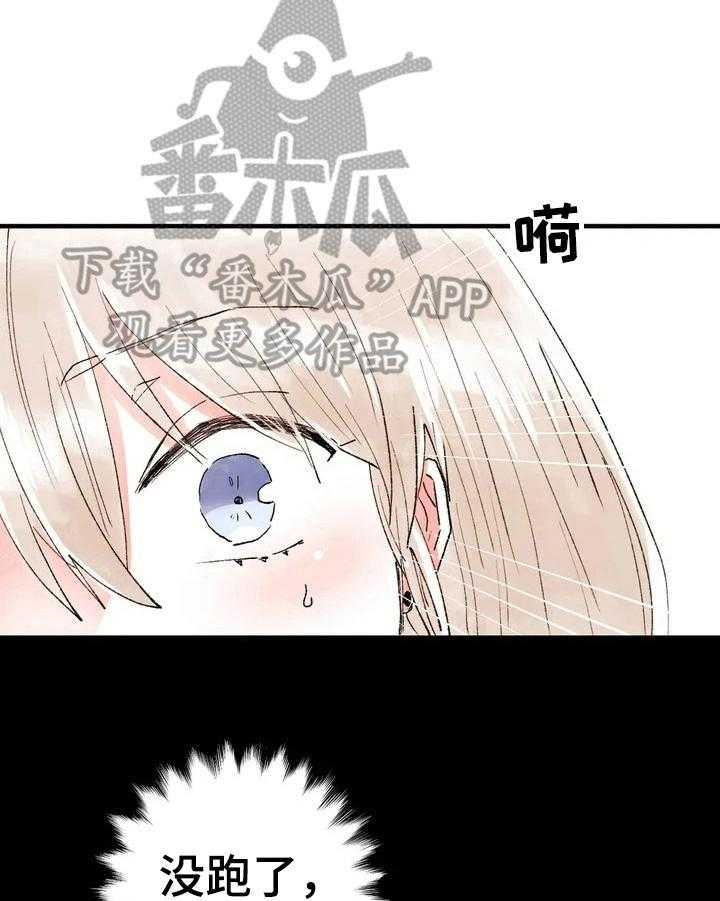 13.jpg